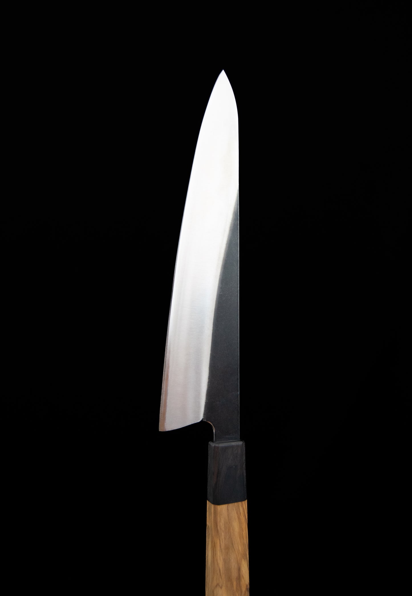 Izanagi Essential Onion