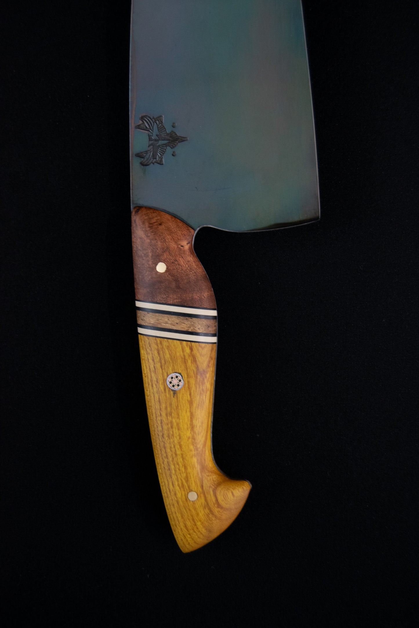 Cebollero Scout