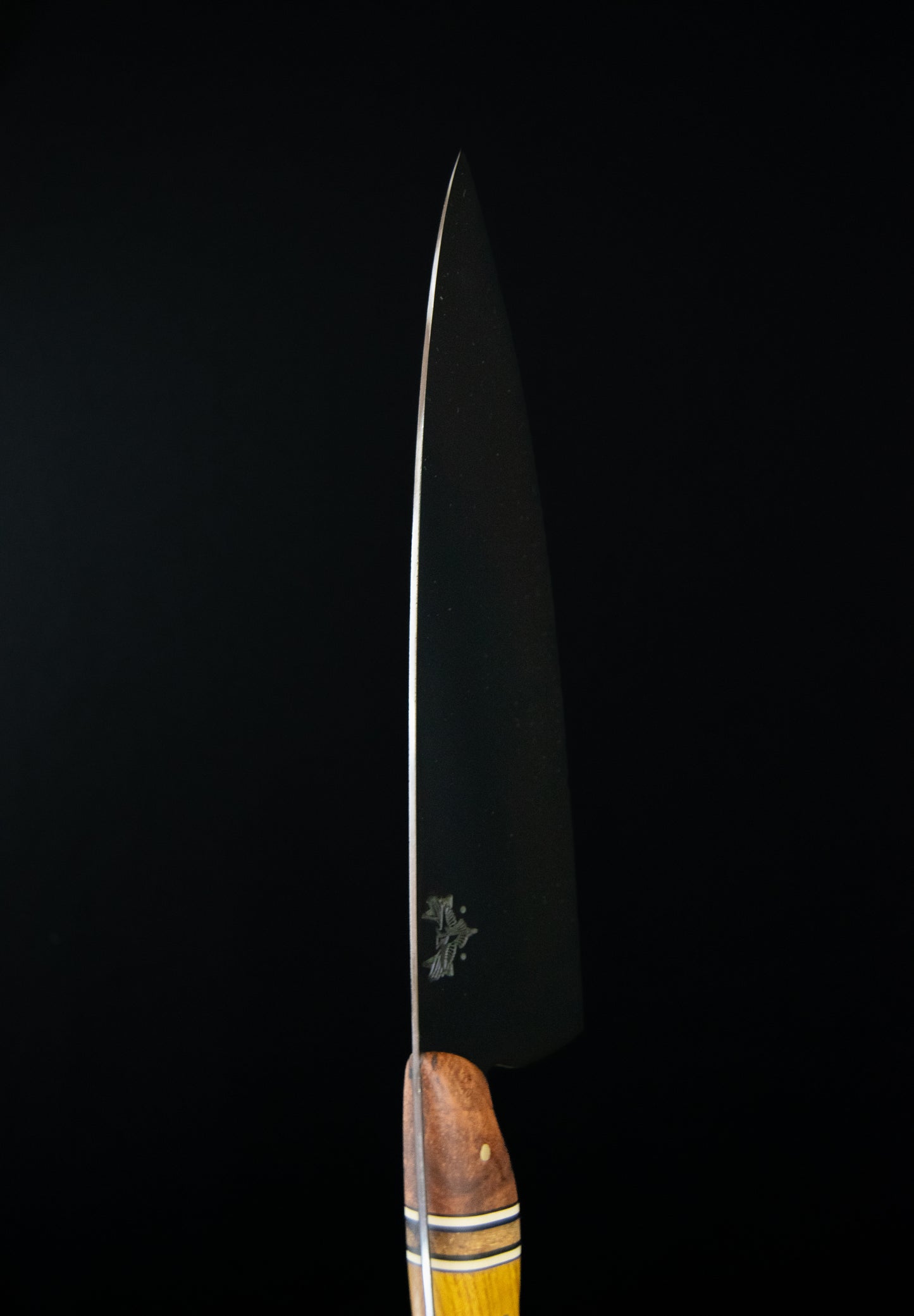 Cebollero Scout