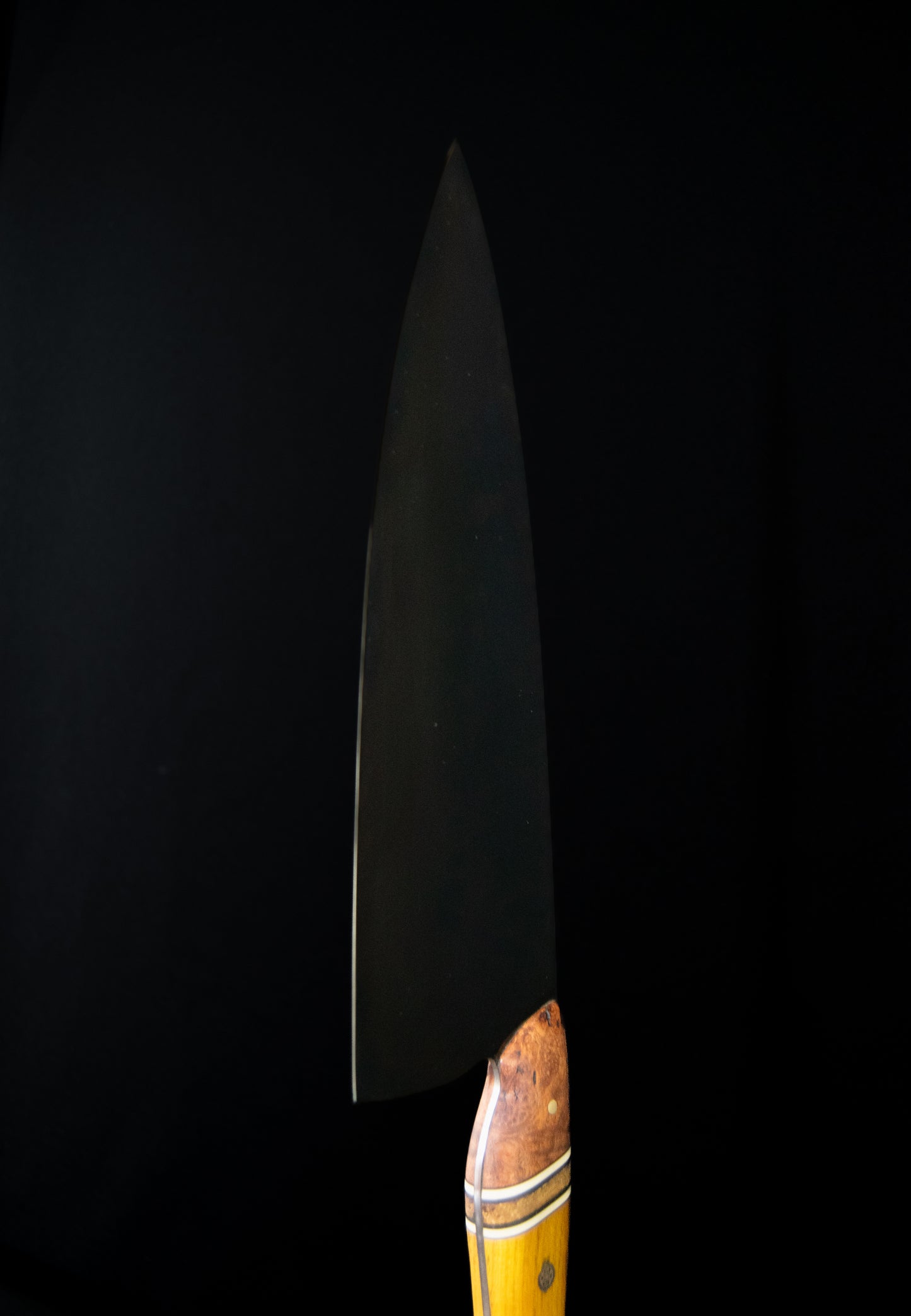 Cebollero Scout